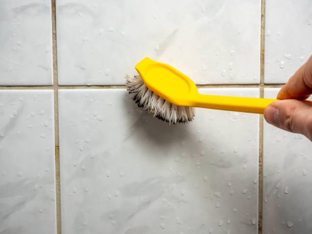 Best Mold Remediation  in North Valley Stream, NY